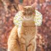 GLEAVI Cat Pillow view 3