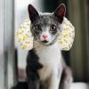 GLEAVI Cat Pillow view 4