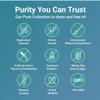 Ginger and Propolis for Daily Vitality, Joint and Antioxidant Support view 4