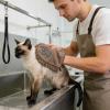 Generic Dog Bath Towel Grooming Gloves with Paw Pattern view 2