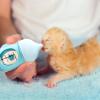 Puppy Feeding Bottle for Nursing Puppies and Kittens view 2