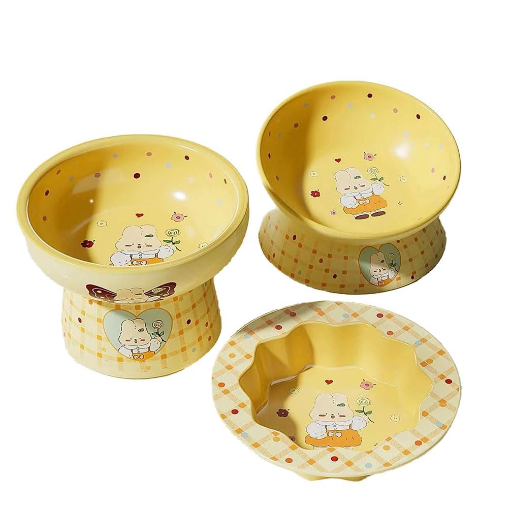 Cute 3-Piece Ceramic Bowl Set for Maine Coon Cats
