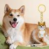 ZBIianxer Pet Keychain with Hair Storage view 3