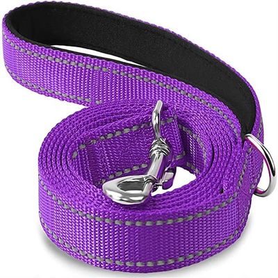 Dog Pull Leash, Cat Dog Harness Collar Leash Strap Night Reflection (Purple, 2.5x120cm)