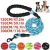 Dog Training Leash, Orange, 0.8 cm x 120 cm view 2