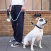 Dog Training Leash, Orange, 0.8 cm x 120 cm view 3