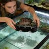 Turtle Waste Collector with Viewing Window view 2