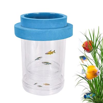Floating Aquarium Fish Breeding and Fry Isolation Box