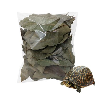 Leaf Litter Set - Natural Dry Leaf Pet Supplies