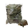 Leaf Litter Set - Natural Dry Leaf Pet Supplies view 1