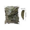 Leaf Litter Set - Natural Dry Leaf Pet Supplies view 2