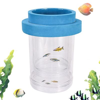 Floating Aquarium Breeder Separator for Fry, Betta Fish, Shrimp and Guppies