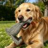 CGACCSD Squeaky Dog Toy - Interactive Puzzle with Chicken Knot Design view 3