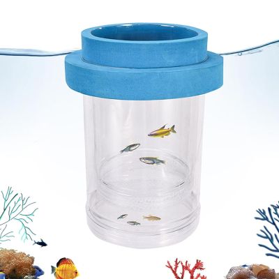 Floating Aquarium Breeding and Rearing Box for Fry
