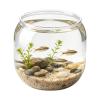 Round Decorative Fish Bowl Aquarium view 1