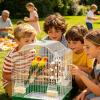 Bird Chew Toy for Parrots view 3