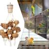 Bird Chew Toy for Parrots view 4