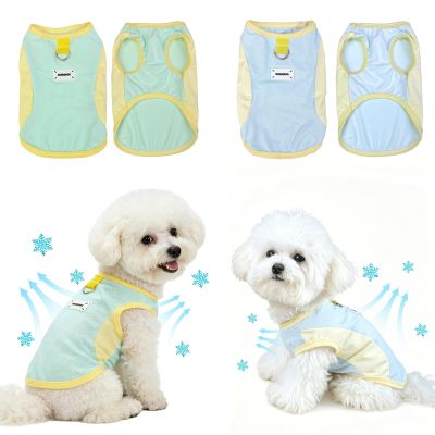 Cooling Vest for Dogs, 2-Pack, Breathable Ice Silk Clothing with D-Ring, Summer Cooling Coat for Small to Medium Dogs (Green/Blue) (Size XXL)