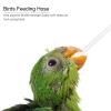 Feeding Tool for Young Birds - 3 Pack view 3