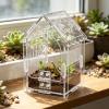 Genrico Reptile Terrarium view 3