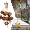 Wood Chew Toy for Parrots view 4
