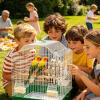 Parrot Chew Toy for Birds view 2