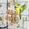 Parrot Chew Toy for Birds view 3
