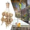 Parrot Chew Toy for Birds view 4