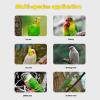 Pet Bird Safety Leash for Small Birds view 3