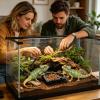 Genrico Reptile Feeding Bowl view 2