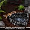Genrico Reptile Feeding Bowl view 4