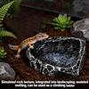 Generic Reptile Feeding Bowl view 4