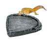 Reptile Water Bowl - Water Container for Bearded Dragons view 1