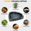 Generic Reptile Feeding Bowl and Water Dish for Lizards view 4