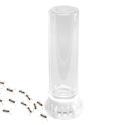 Portable Ant Water Bowl