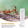 Portable Ant Water Bowl view 2