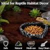 Reptile Feeding Bowl view 4