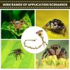 Jumping Spider Climbing Decoration view 4