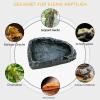 Generic Reptile Food Dish - Gecko Water Bowl Feeder view 4