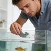 Aquarium Cleaning Set, 25.4 cm view 3