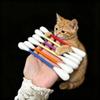 FiTspi 6-Pack Cat Felt Chew Sticks with Catnip view 4