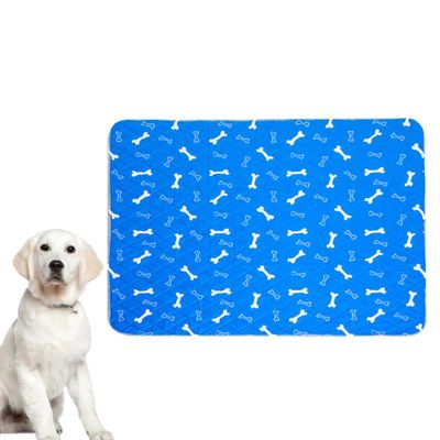Artibetter Dog Training Mat with Bone Pattern
