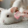 Bunny Grooming Brush - Massage Brush for Pets view 2