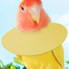 Suede Neck Guard – Anti-Bite and Feather-Plucking Protection view 3