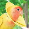 Suede Neck Guard – Anti-Bite and Feather-Plucking Protection view 4
