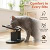 3-in-1 Elevated Cat Bowl Feeding Station with 3 Stainless Steel Bowls view 3