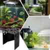 Betta Fish Habitat view 4