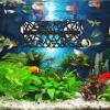 Generic Betta Hanging Hammock for Aquariums view 4