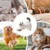Cat Hair Keychain Memory Keepsake view 4