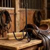 Horse Tack Hook, 4-Prong Equestrian Equipment Rack, 2-Piece Halter Organizer, Black Steel, 22.5 x 16 cm view 3
